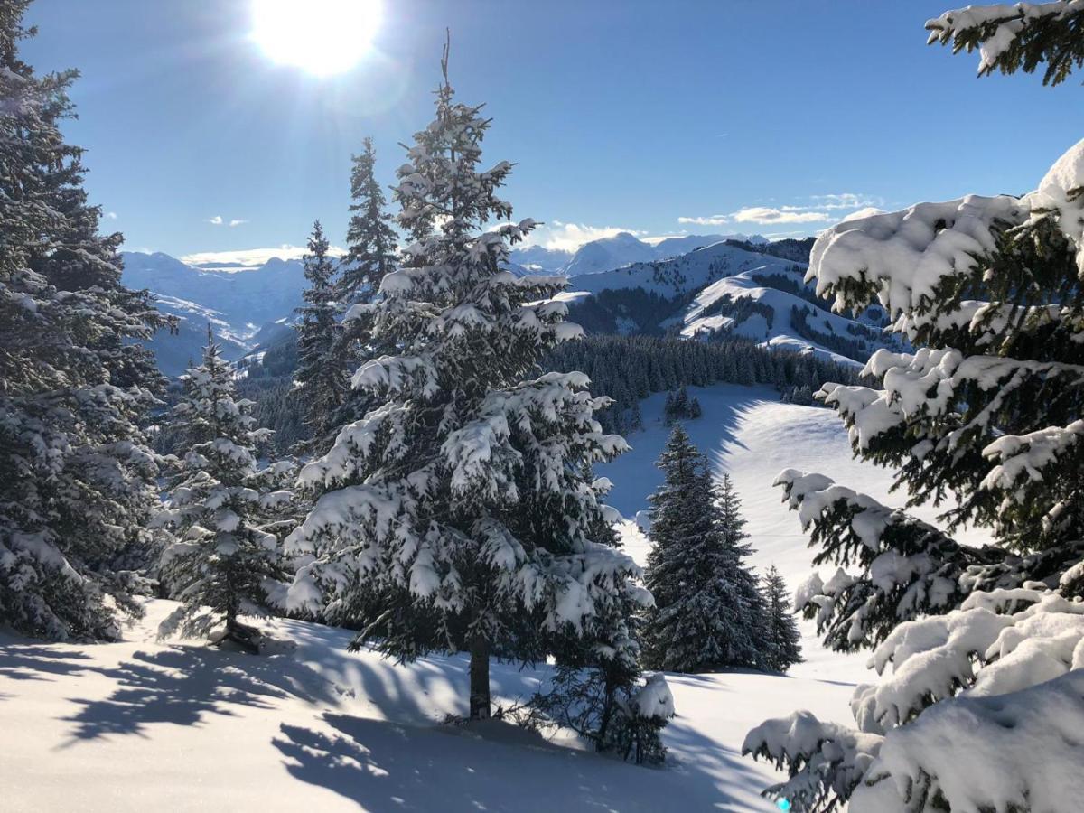 Chalet L'Escapade Charmey Εξωτερικό φωτογραφία